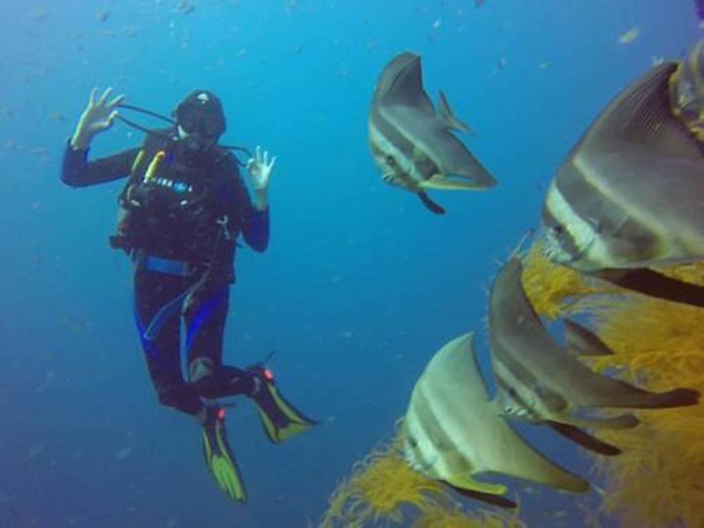 Chindonan Dive And Beach Resort Корон Екстер'єр фото
