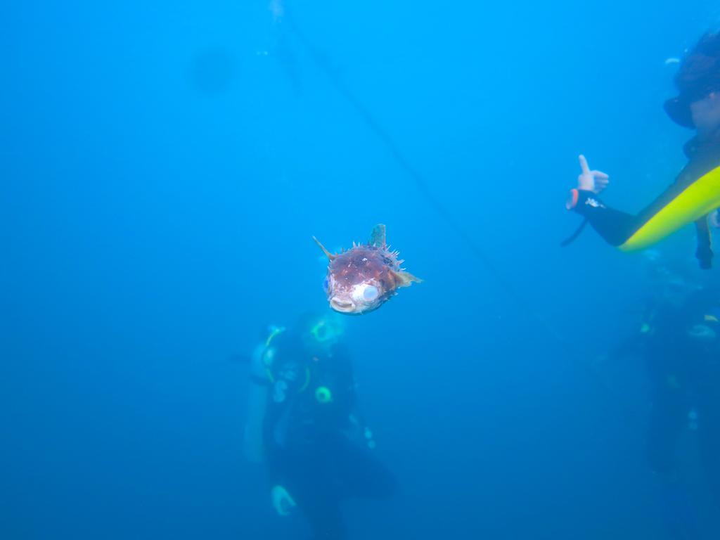 Chindonan Dive And Beach Resort Корон Екстер'єр фото