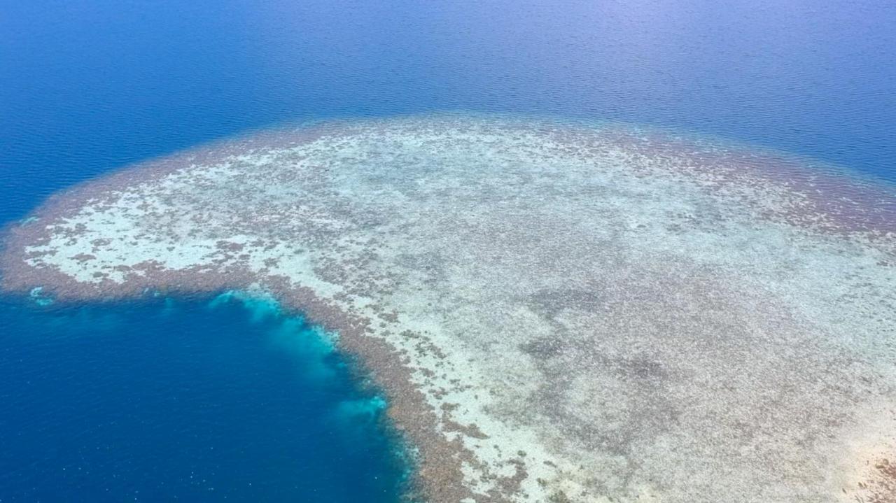 Chindonan Dive And Beach Resort Корон Екстер'єр фото